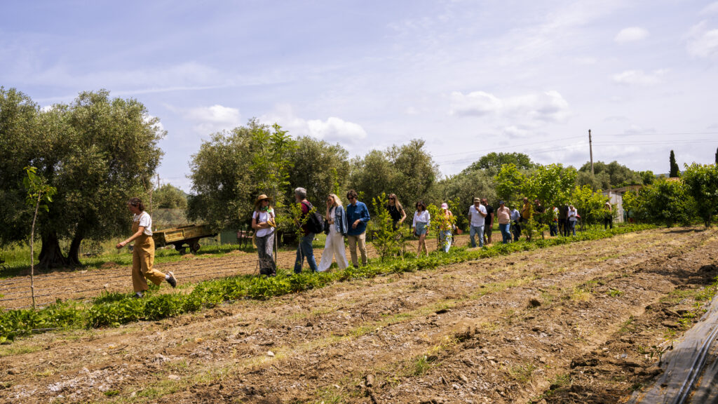 Visita guidata al Podere Arduino con ospiti che esplorano i campi di agricoltura sostenibile